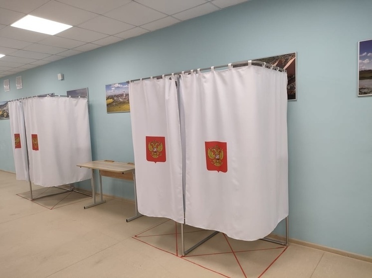 На выборах в ДНР проголосовали более 87% избирателей