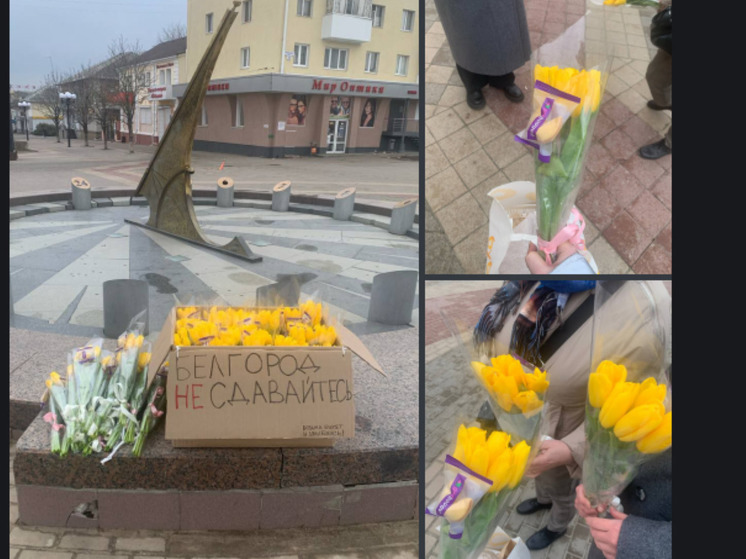 В Белгороде заметили коробку с цветами и словами поддержки
