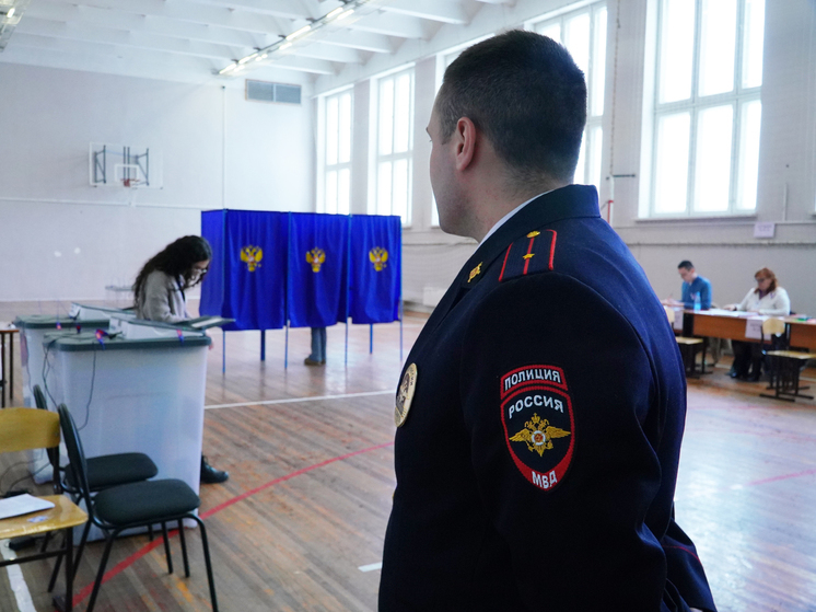 В Новосибирской области приступили к подсчету голосов на выборах Президента