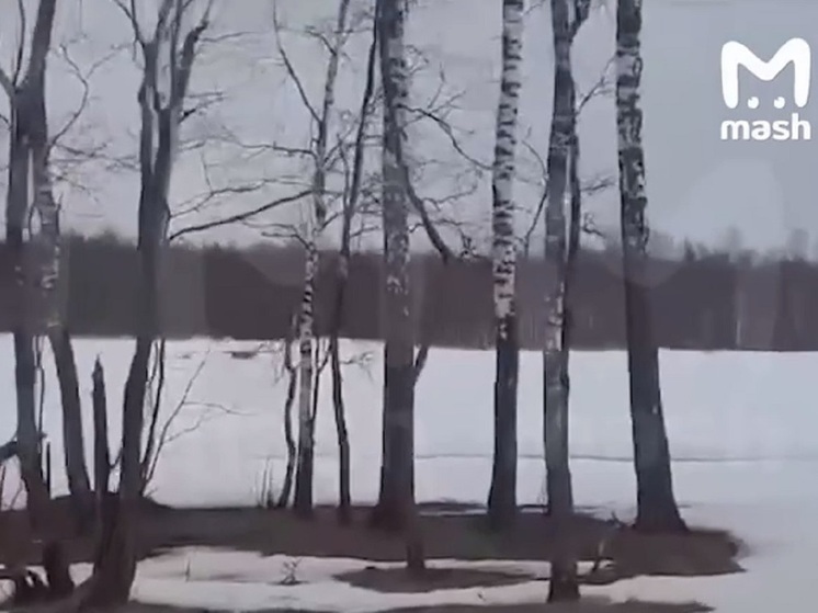Перехваченный дрон сел на лед в Калужской области