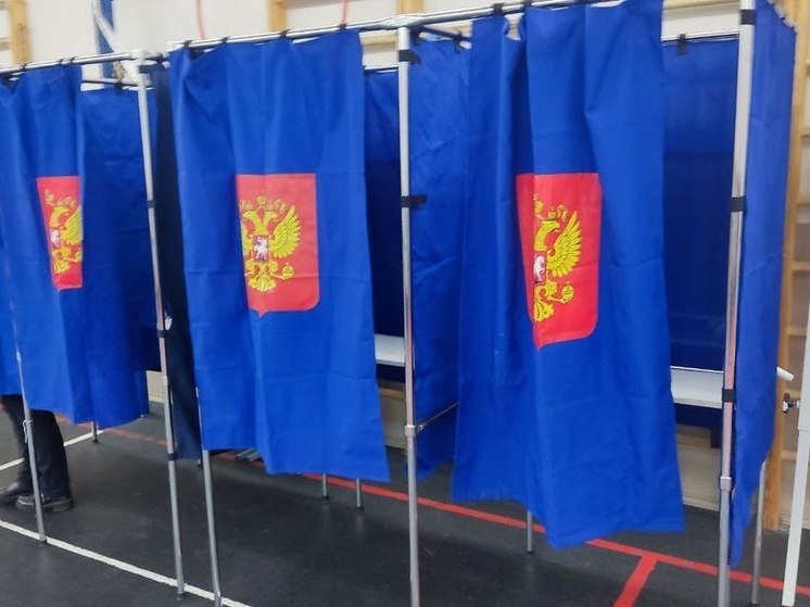 Более миллиона жителей Ленобласти проголосовали на выборах президента