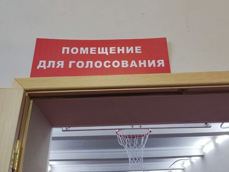 Избирательные участки закрылись в Ленобласти
