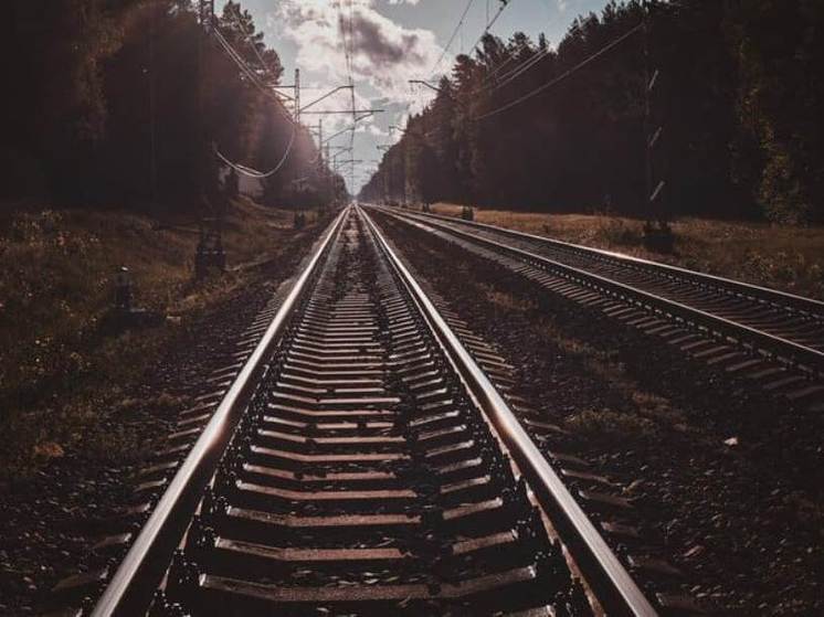 В Воронеже поезд насмерть сбил 16-летнего подростка