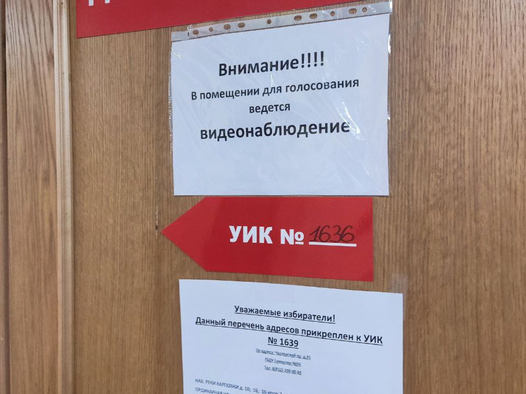 Явка на выборы президента в Мурманской области превысила показатели прошлых лет