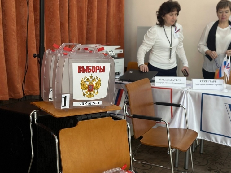 В Тульской области на выборах полностью соблюдали права избирателей