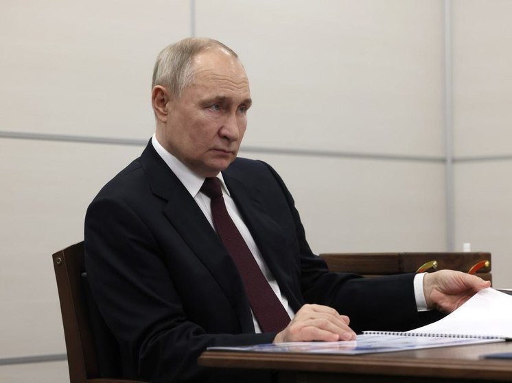 Избирком Петербурга: Владимир Путин лидирует с результатом 80,85 % голосов