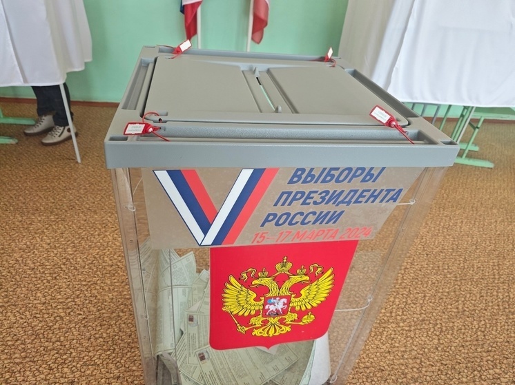 Вологжане могут следить за подведением предварительных итогов голосования в режиме реального времени на сайте ЦИК России