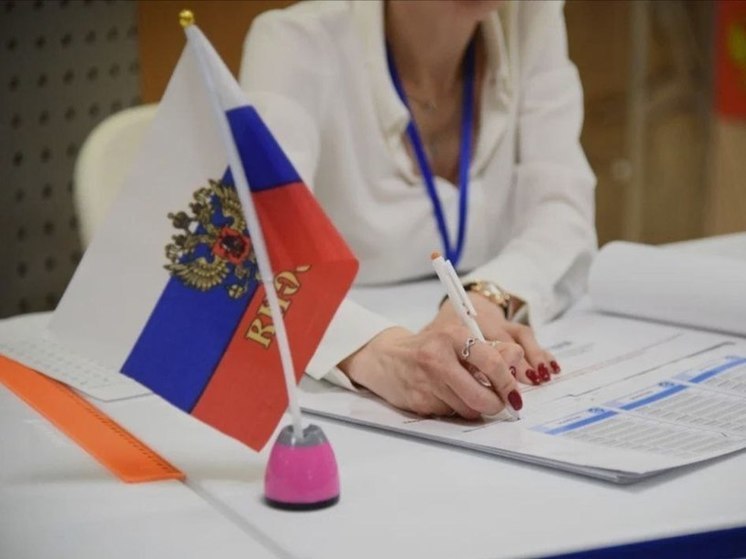 Российские и международные эксперты высоко оценили организацию выборов на Дальнем Востоке