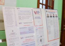 В Хабаровском крае завершились трехдневные президентские выборы