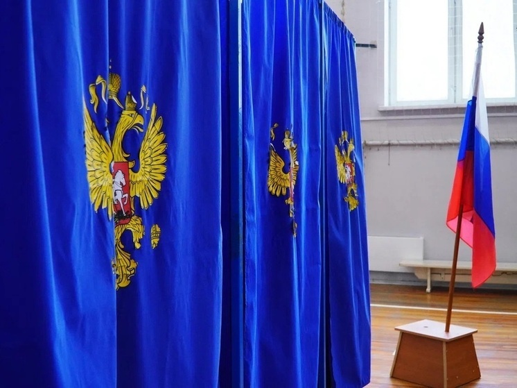 Томский облизбирком опубликовал предварительные итоги выборов президента РФ
