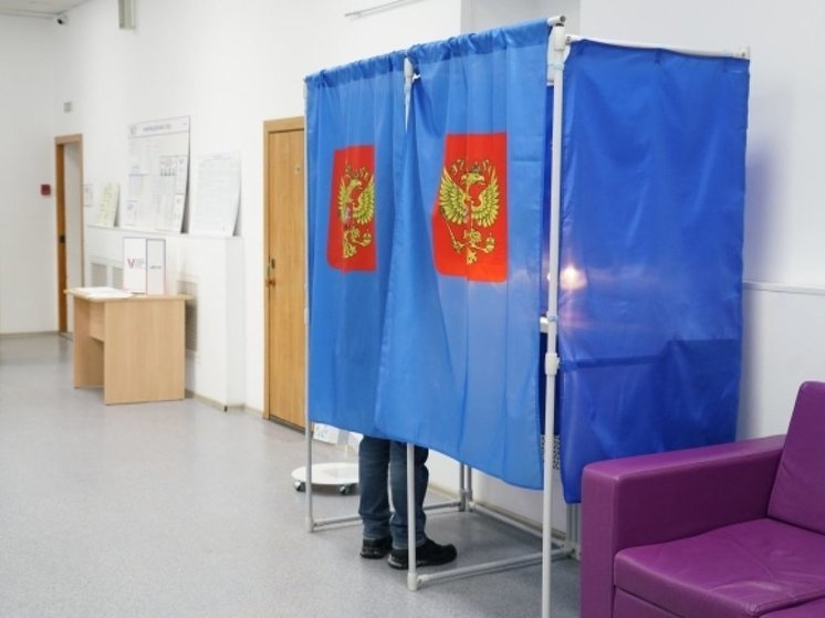 В Новосибирской области явка на президентских выборах превысила 60%