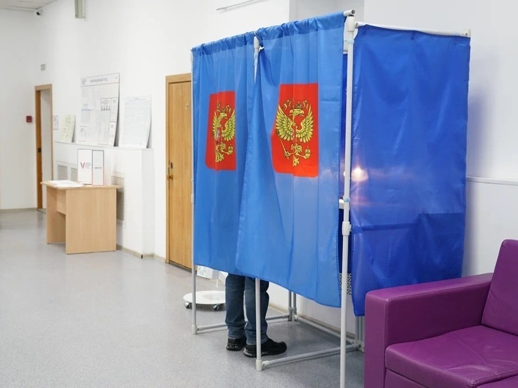 Облизбирком: участие в выборах в Томской области  приняли  457 234 избирателя