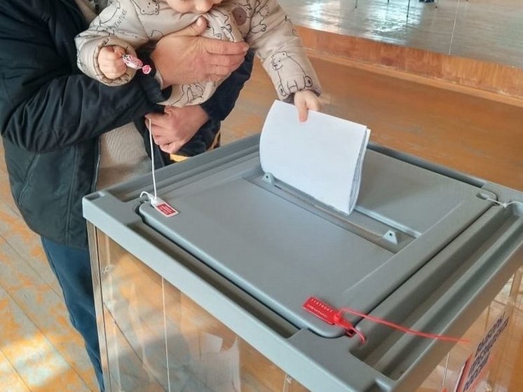 В Воронежской области проголосовало рекордное количество избирателей
