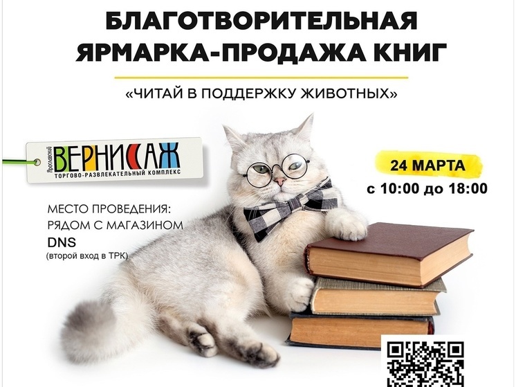 В Ярославле пройдет благотворительная ярмарка в помощь приютским кошкам
