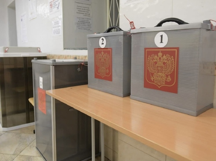 Эксперты оценили рекордную явку на выборах в Свердловской области