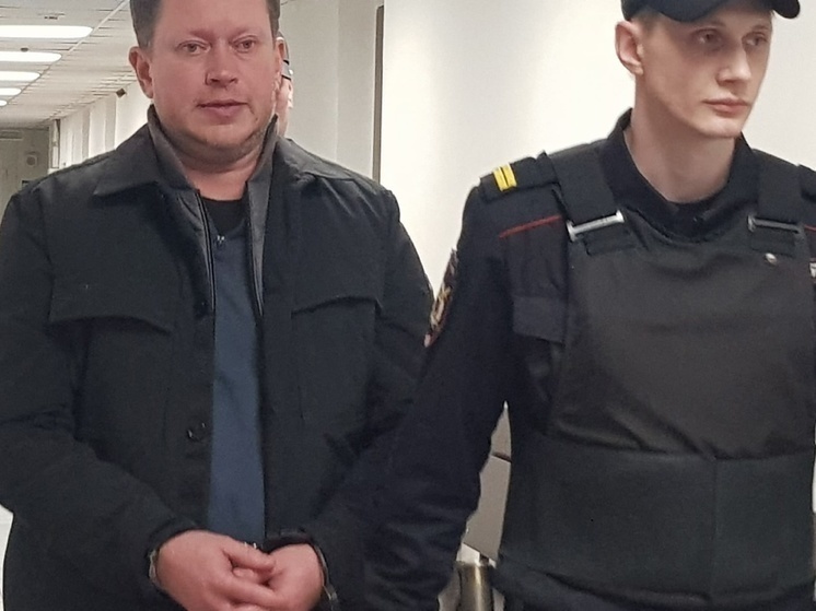 Арестованный в Петрозаводске учредитель «Диет-Групп» Мишичев просится на свободу
