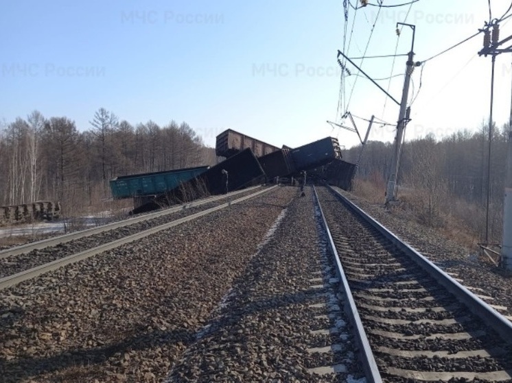 В Приамурье грузовой состав сошел с железной дороги