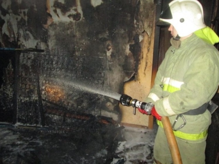 На прошлой неделе пожарные выезжали на 20 возгораний в Марий Эл