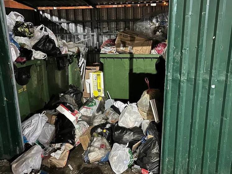 Пензенцы на Сухумской возмущены безответсвенным отношением управляек к вывозу мусора