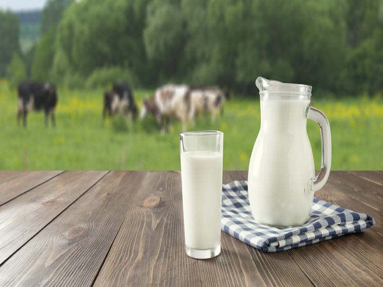 Российские аграрии предпочитают производство молока и зерновых