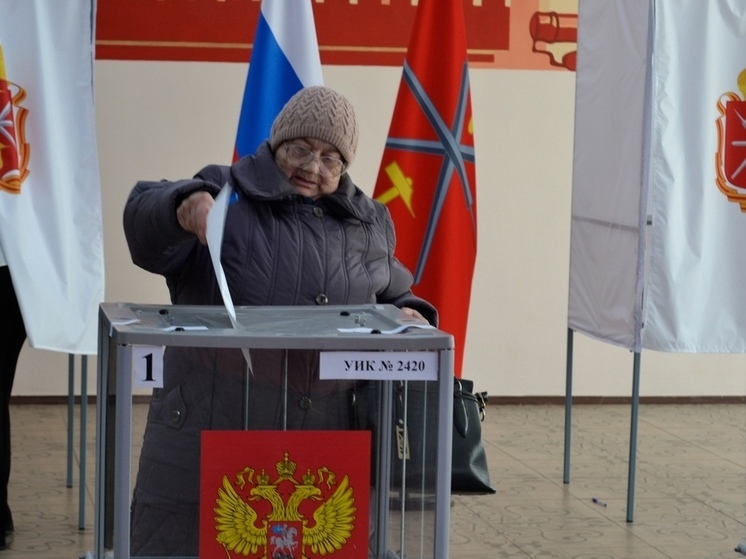 В Тульской области больше 87% избирателей отдали голос за Путина