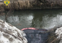 Как стало известно «МК», масляное пятно на поверхности реки было обнаружено в понедельник около 9 часов утра в районе улицы Василия Петушкова