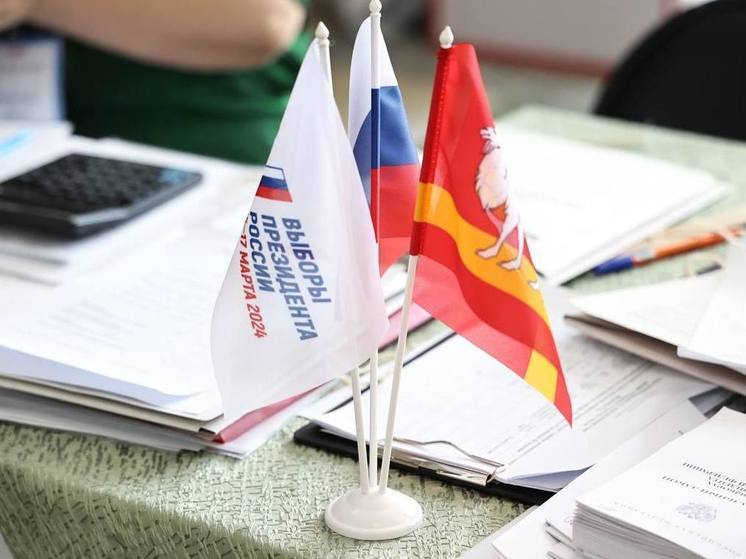 На выборах в Челябинской области проголосовало свыше 2 млн человек