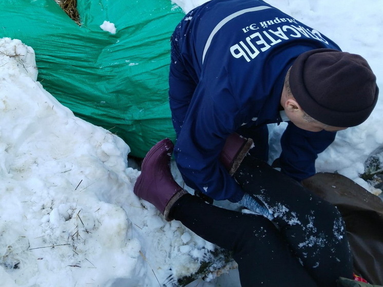 Провалившуюся в снег жительницу Марий Эл пришлось вытаскивать спасателям