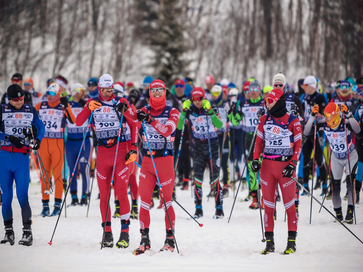 Рекордное за 20 лет количество человек примет участие в Мурманском лыжном марафоне