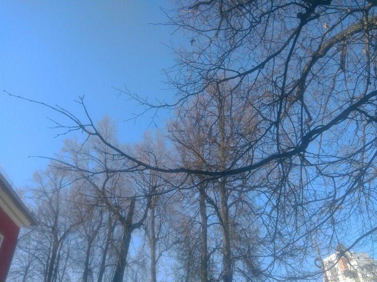 После кратковременного похолодания в Пермь вновь вернется теплая погода