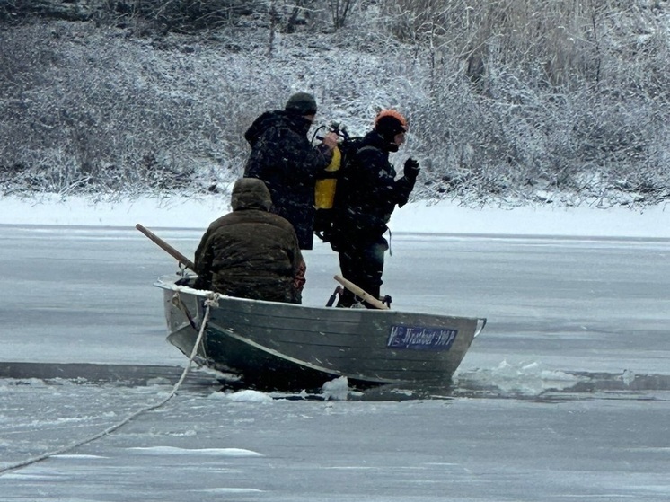 Под Астраханью провалился под лед мужчина, пытавшийся спасти собаку
