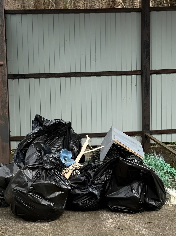 На Куршской косе прошла экологическая акция по сборке мусора