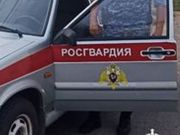В Воронеже на спортбазе «Факела» обнаружили обломки БПЛА