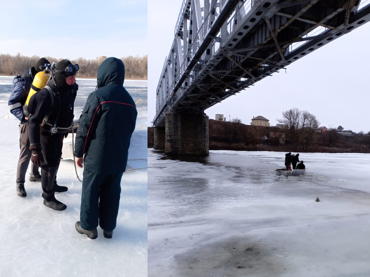 В Астраханской области мужчина побежал спасать собаку и утонул вместе с ней