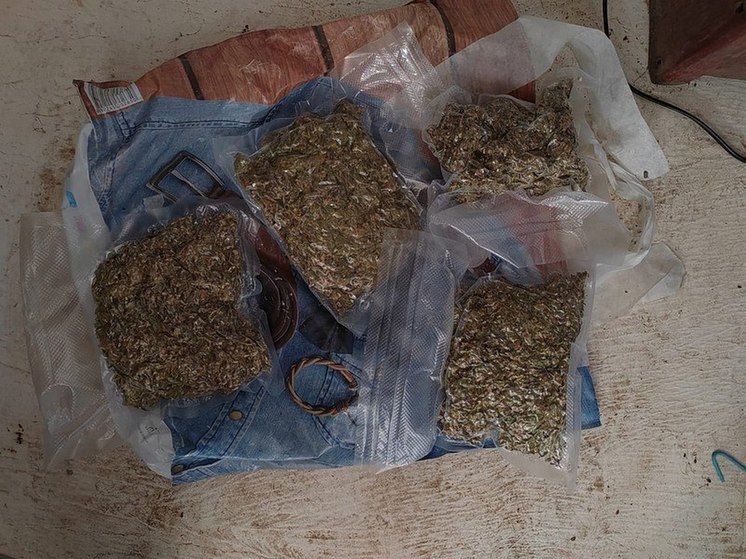 Полкило наркотиков изъяли в доме жителя Красноармейского района