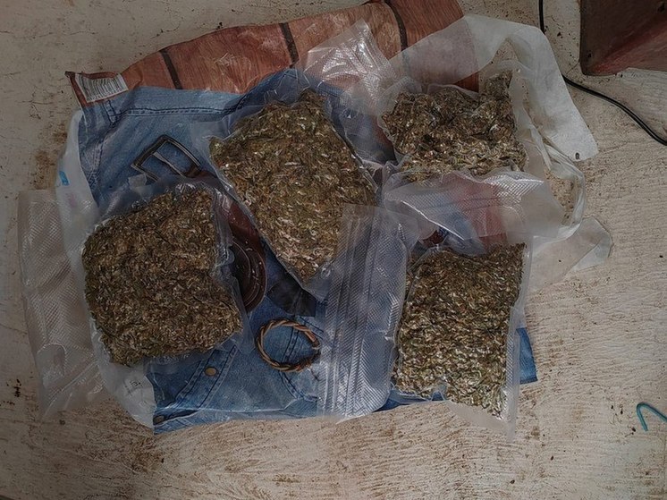 Полкило наркотиков изъяли в доме жителя Красноармейского района