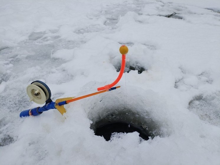 Трое погибли в воде в Ленобласти за неделю
