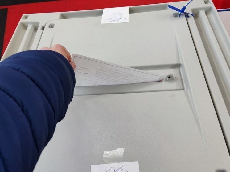 Мейксин: Протоколы об итогах голосования в Петербурге будет введены в ГАС «Выборы»
