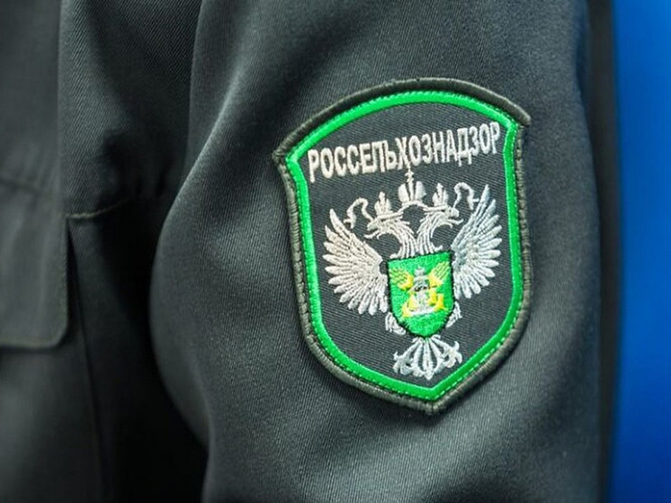 Россельхознадзор остановил продажу 20 тонн сомнительных семян в Орловской области