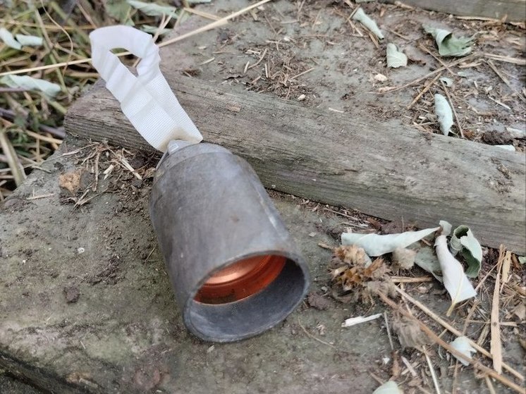 Подросток получил смертельные ранения при детонации кассетного снаряда в Гроловке