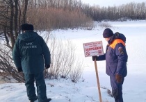 Две ледовые переправы перестали функционировать в Алтайском крае с 18 марта, передает региональное ГУ МЧС.