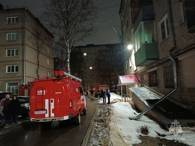 В Коврове в пожаре на улице Ногина пострадали два человека