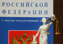 В столице суд вынес приговор бывшей переводчице посольства Швейцарии в Москве Наталье Полуэктовой