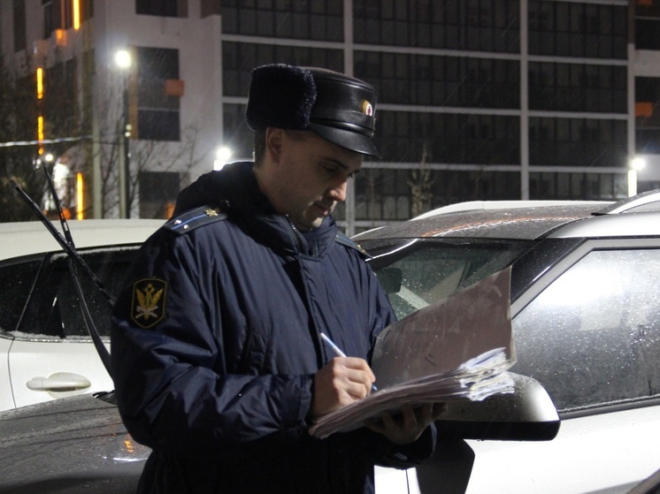 Орловчанина заставили оплатить почти 150 штрафов ГИБДД