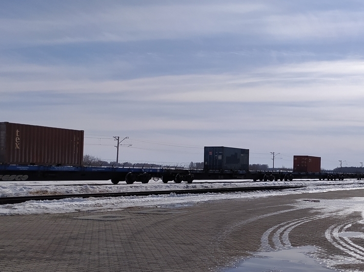Из Челябинской области в Индию пустили первый грузовой поезд с овсом