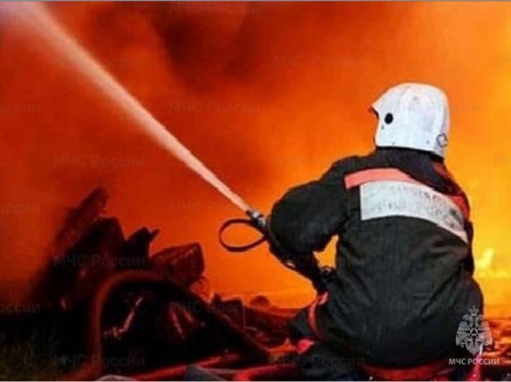 В Орле на пожарах в 2024 году погибло 3 человека