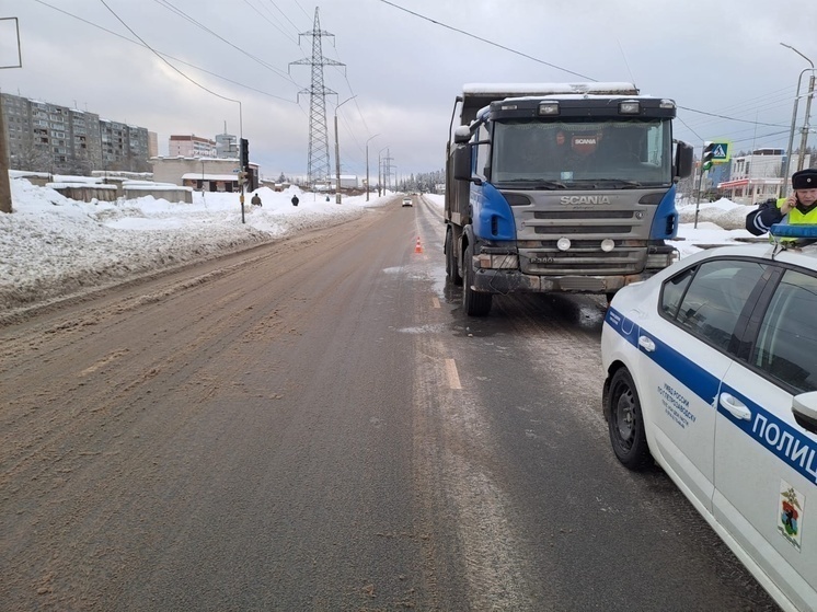 Водитель грузовика, сбивший женщину с собакой в Петрозаводске, отделался штрафом