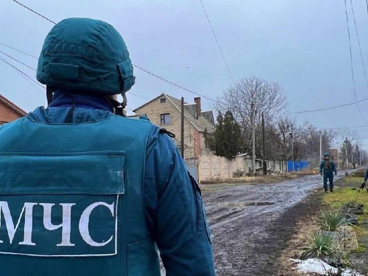 Сотню ВОП уничтожили спасатели в ДНР за сутки