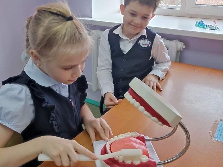 В Ишиме школьники в игровой форме узнали, как правильно ухаживать за зубами