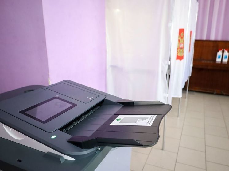Жительнице Крыма выдали предупреждение из-за шутки про зеленку на выборах